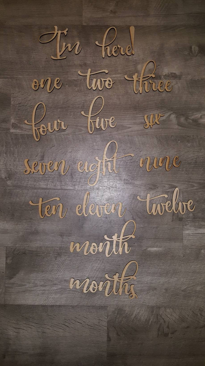 Set of Monthly Milestone Babys First Year with I'm here! plaque New Baby Laser Cut Wood Photo Prop Sign Month Shower Signs Gifts