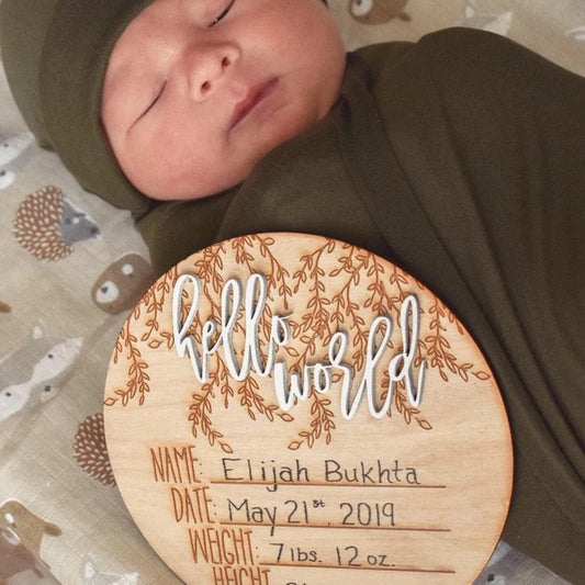 Hello Baby Birth Detail Hospital Sign