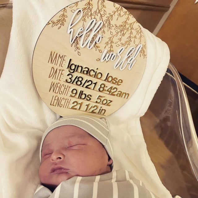 Hello World 3D Hospital Welcome Birth Announcement Details Wood Plaque Photo Prop Sign