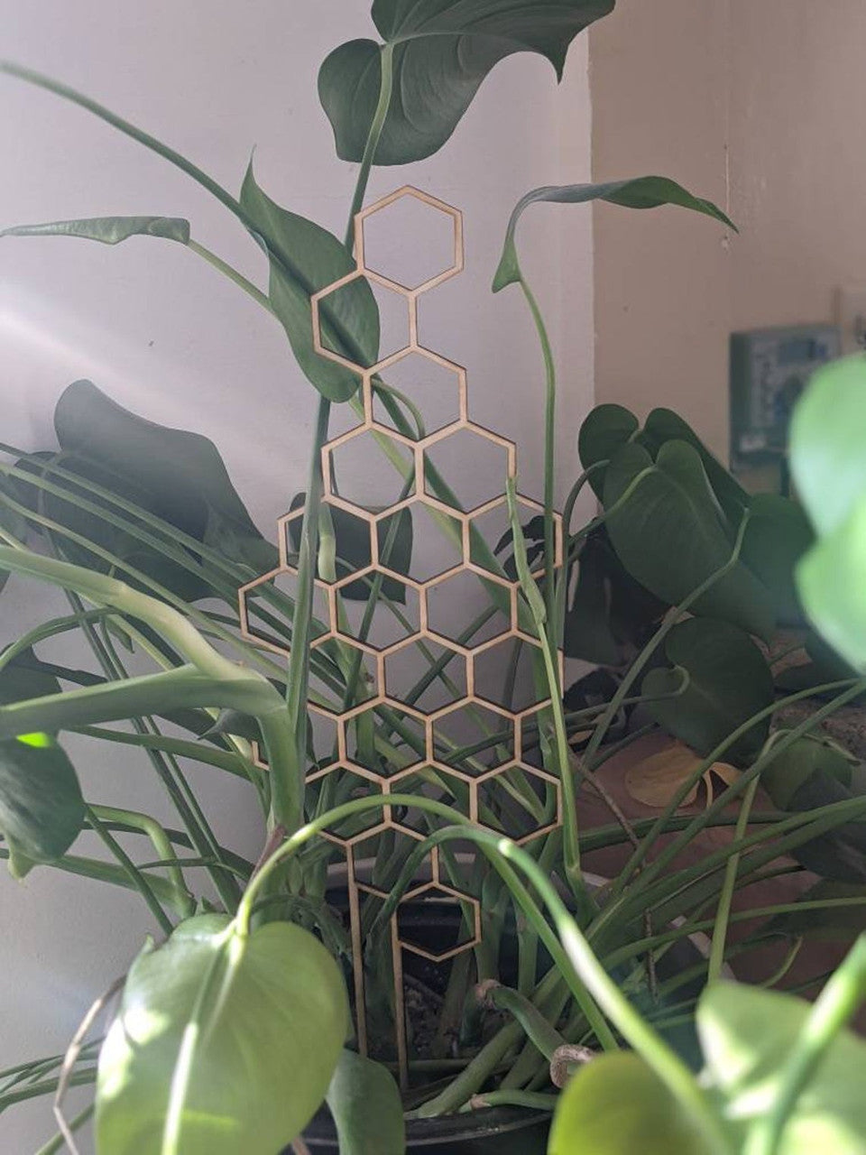 small trellis for indoor plants Personalized Minimalistic Name Tag Keepsake – La Paz Design Studio