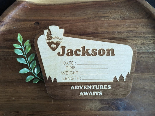 Personalized National Park Hospital Welcome Baby Birth Announcement Detail Wood Plaque Photo Prop Sign Design Trendy