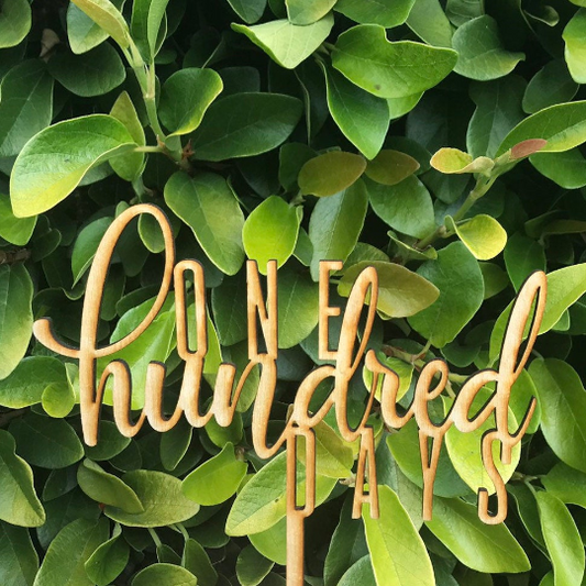 One Hundred Days 100 Days Korean Celebration Cake Topper