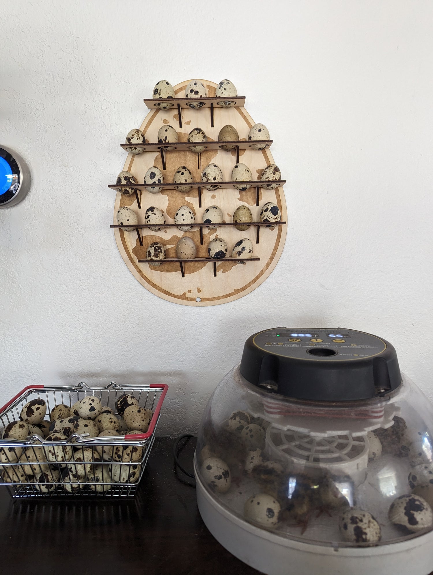 Farmhouse Décor: Rustic Signs & Personalized Home Accents