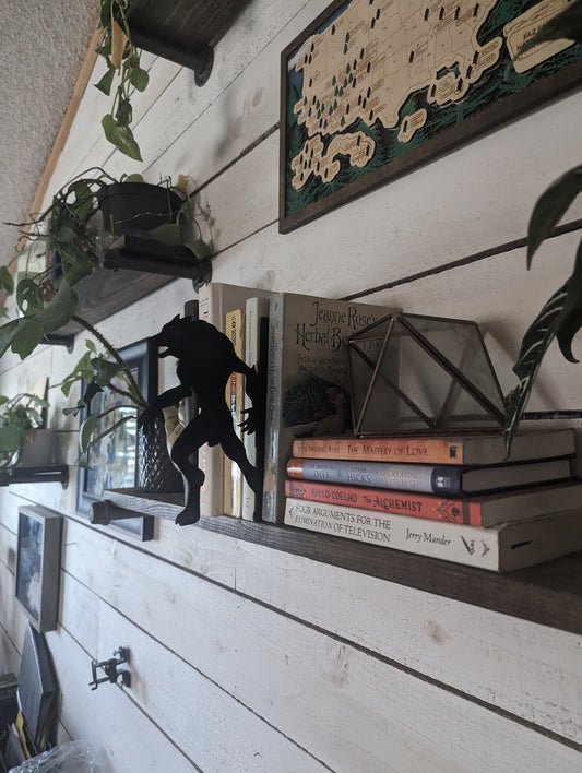 Werewolf Super Natural Wood Shelf Insert Silhouette | Bookshelf Sign | Bookish | Gift for Book Lover | Book Divider | Genre Separator