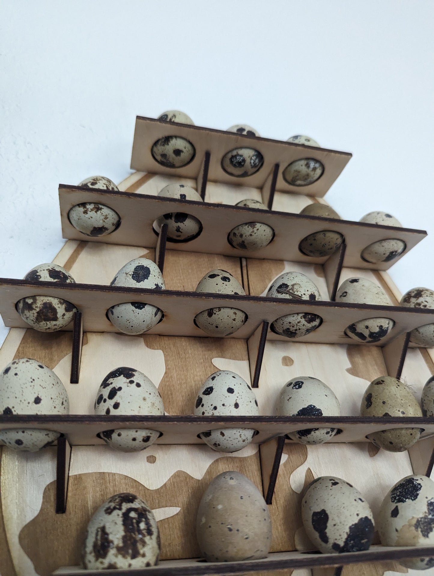 Quail Egg Holder | Wall Wooden Quail Egg holder | Quail Gift | Coturnix Quail Decor | Quail Egg Display | Quail Egg Home Decor