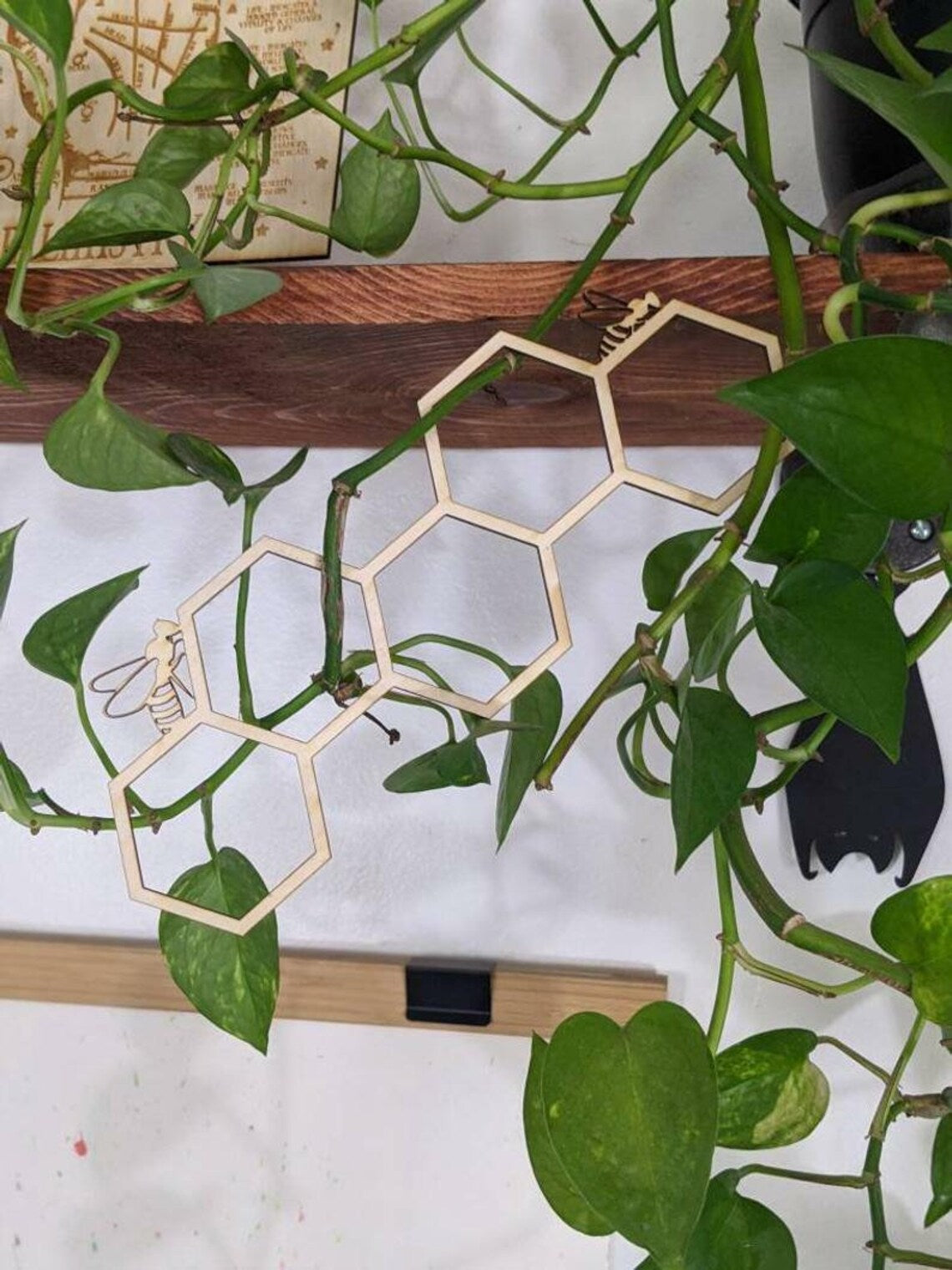 Honeycomb Hanging Trellis | Indoor Plant Support | Wood or Metal Wall Trellis Decor